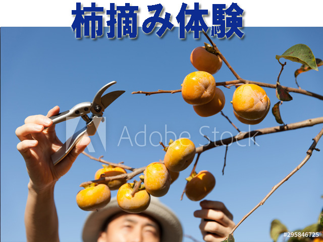 サムネール画像