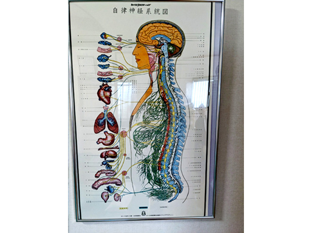 小林カイロプラクティック