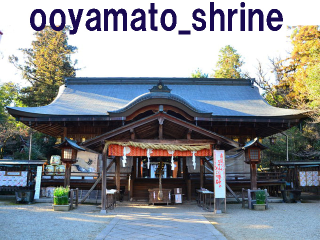 サムネール画像